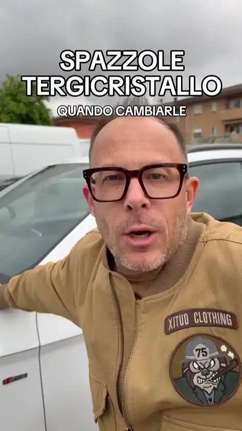 Spazzole tergicristallo